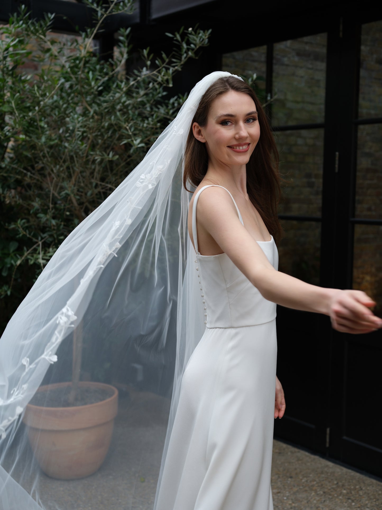 Brie Veil