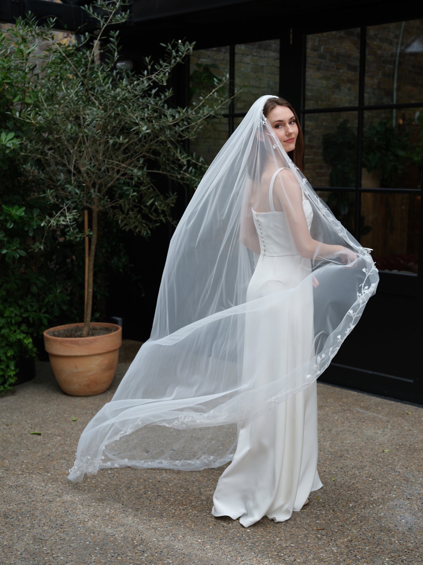 Brie Veil