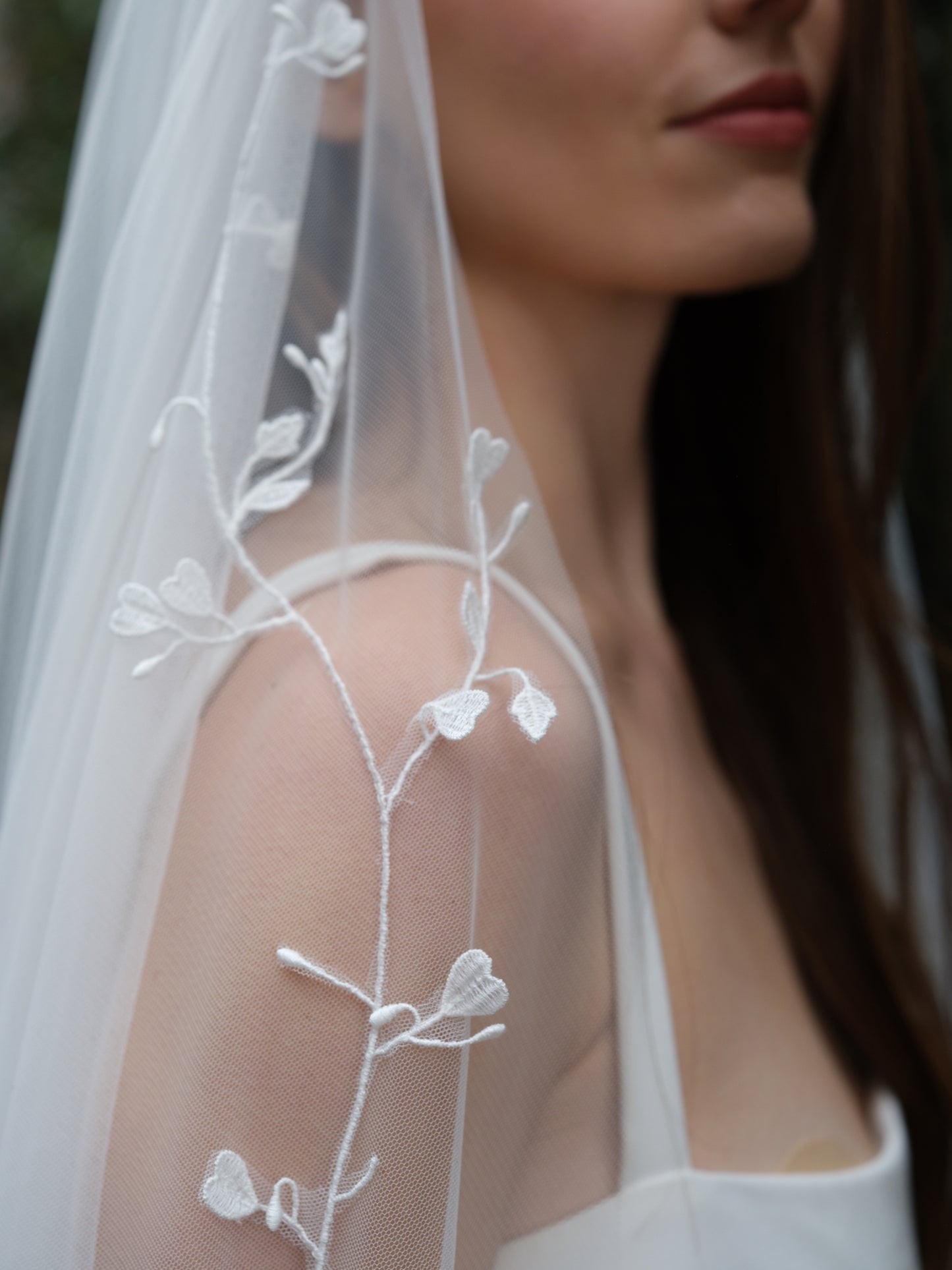 Brie Veil